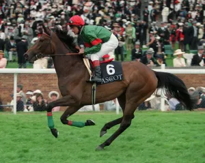 Racehorse Prints: Magnificient Style