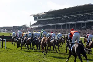 Stand Prints: Main Stand Cheltenham Racecorse