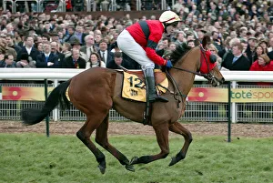 Scudamore Prints: Major Speculation