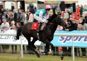Manifest Ridden By Tom Queally Wins The Manifest Ridden By Tom Queally Wins The