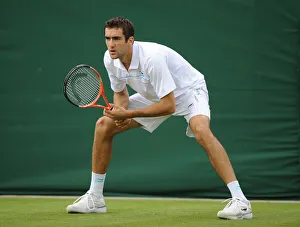 Marin Cilic