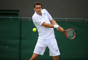 Marin Cilic