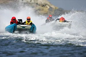 Speed Boat Prints: Mark Ross, Robert Green, George Van Baalan & Nicky Ecker