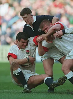 Regan Prints: Martin Johnson, Jardine, Regan