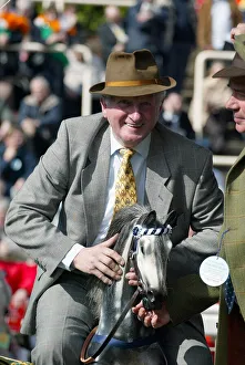 Martin Pipe Onboard Rocking Horse