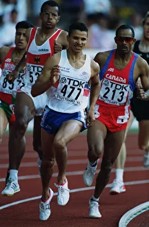 Martin Steele
