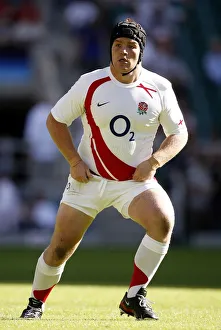 Matt Stevens