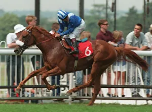 Willie Prints: Mawwal Wins Paddock Maiden Stk