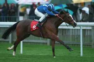 Willie Prints: Mehthaaf Wins 94 Nell Gwyn