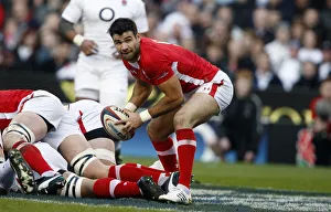 Mike Phillips