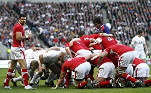 Scrum Prints: Mike Phillips At Scrum Half