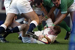Bath Prints: Mike Tindall
