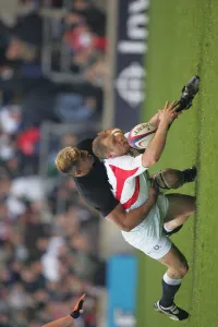 Mike Tindall & Jerry Collins