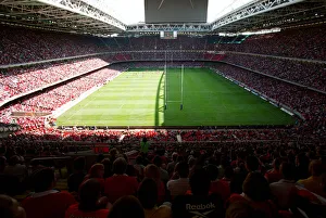 Park Prints: Millennium Stadium