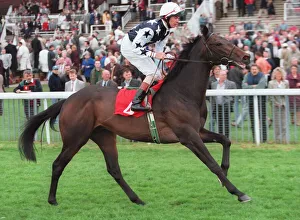Racehorse Prints: Mironov