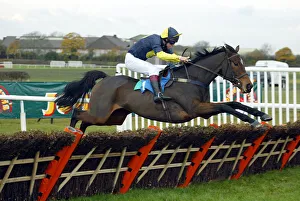 Mister Prints: Mister Mcgoldrick