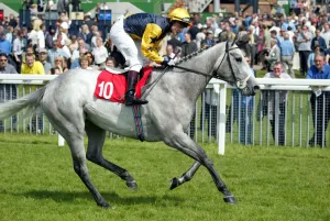 Darley Prints: Misty Eyed