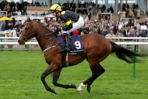 Newmarket Prints: Misu Bond
