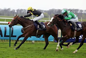 Newmarket Prints: Misu Bond Ahead Of Jeremy