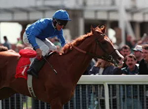 Yorkshire Prints: Moonax Wins Yorkshire Cup