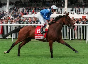 Dettori Prints: Moonshell