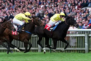Dettori Prints: Mot Juste