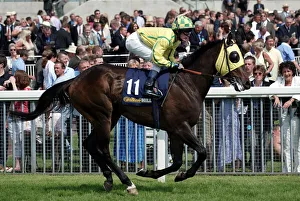 Nicholls Prints: Mr Malarkey