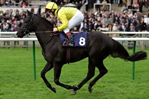 Newmarket Prints: Mulaqat