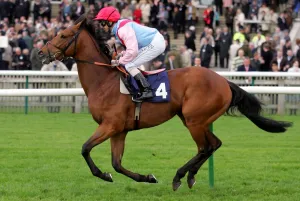 Newmarket Prints: Music By Mozart
