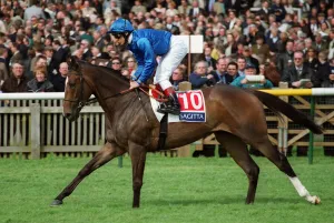 Newmarket Prints: Muwakleh