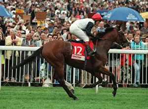 Darley Prints: Mystic Knight