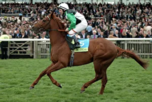 Guineas Prints: Needwood Blade