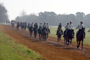 Newmarket Gallops