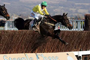 Queen Prints: Newmill & Andrew Mcnamara