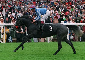 Racehorse Prints: Nicer (M Hills)