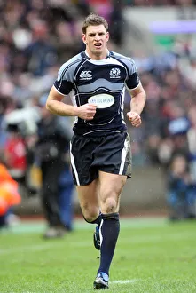 Ospreys Prints: Nikki Walker