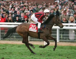 Racehorse Prints: Notcomplainingbut