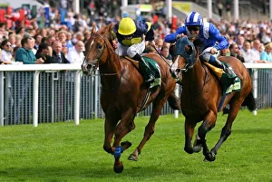 Ebor Prints: Notnowcato & Maraahel