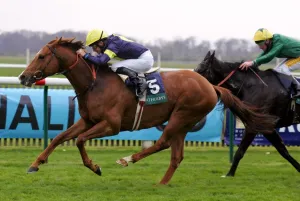 Notnowcato & Michael Kinane Notnowcato & Michael Kinane