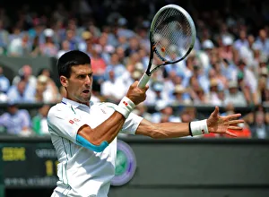 Tennis Prints: Novak Djokovic
