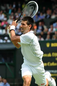 Tennis Prints: Novak Djokovic