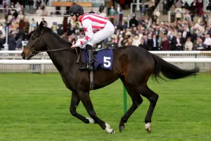 Culhane Prints: Obe Brave