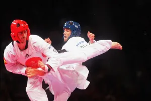 Sydney Prints: Olympic Kickboxing
