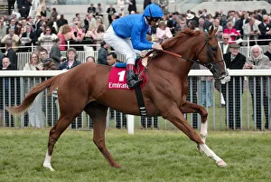 Dettori Prints: Papineau