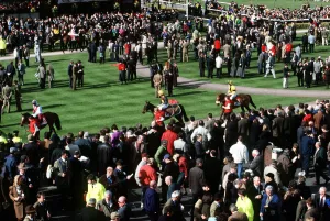 Parade Ring Cheltenham