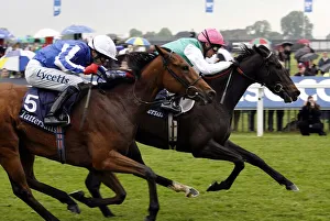 Stks Prints: Passage Of Time Ahead Of Sweet Lilly