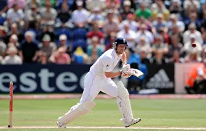 Paul Collingwood