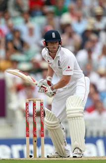 Paul Collingwood