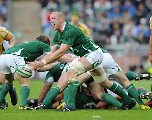 Paul O Connell