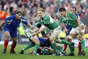 Paul O Connell